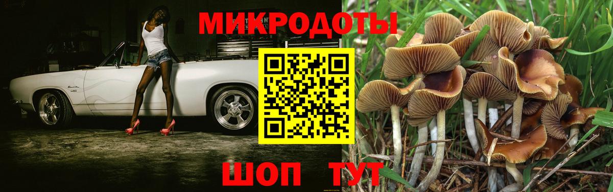 Новороссийск  дарнет шоп  Вход с VPN  Галлюциногенные грибы мицелий  Псилоцибиновые грибы мухоморы 