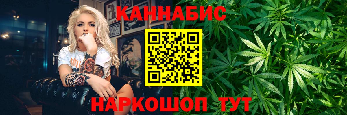 Канабис OG Kush Новороссийск